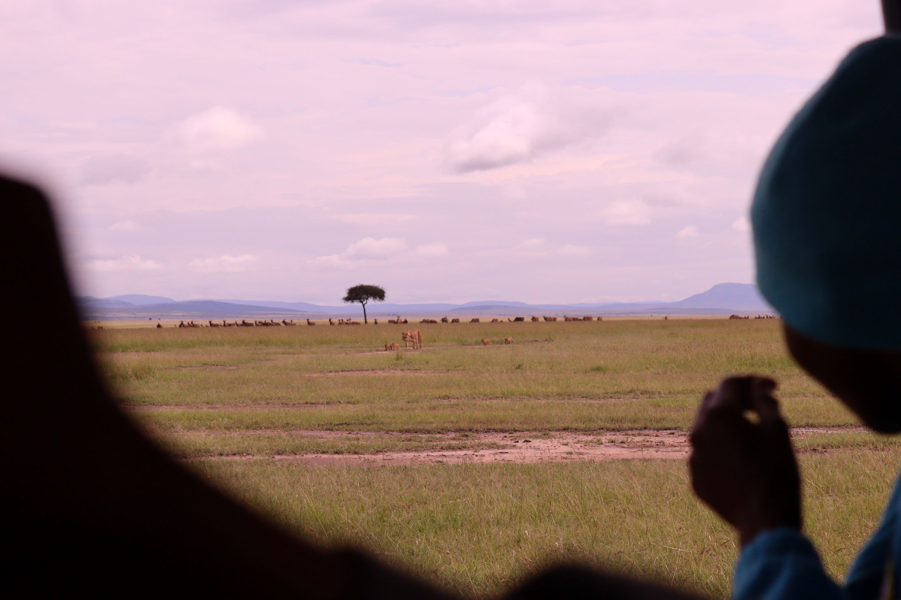 Environmental conservation